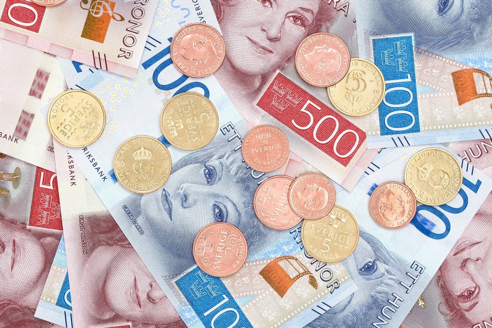 Finansinspektionen vill se en bredare analys av kontanternas roll i samhället. | Foto: Sveriges Riksbank