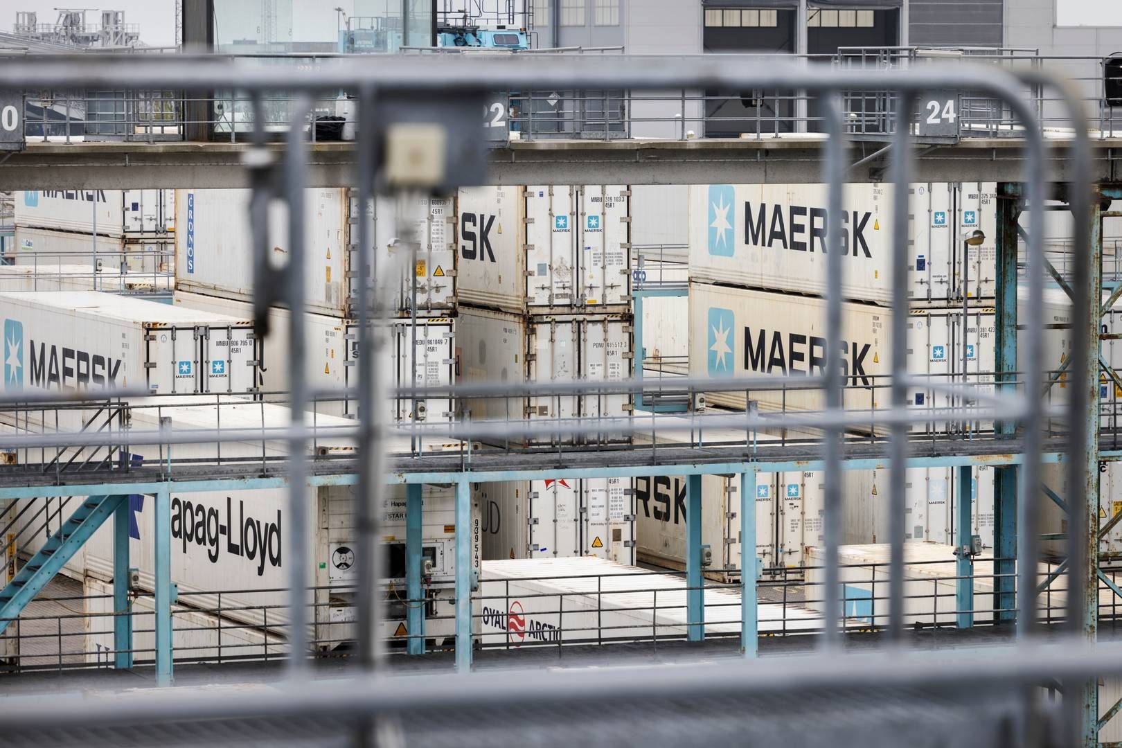 APM Terminals driver den pt. eneste containerterminal i Aarhus Havn, der er landets største containerhavn | Foto: Casper Dalhoff/Ritzau Scanpix