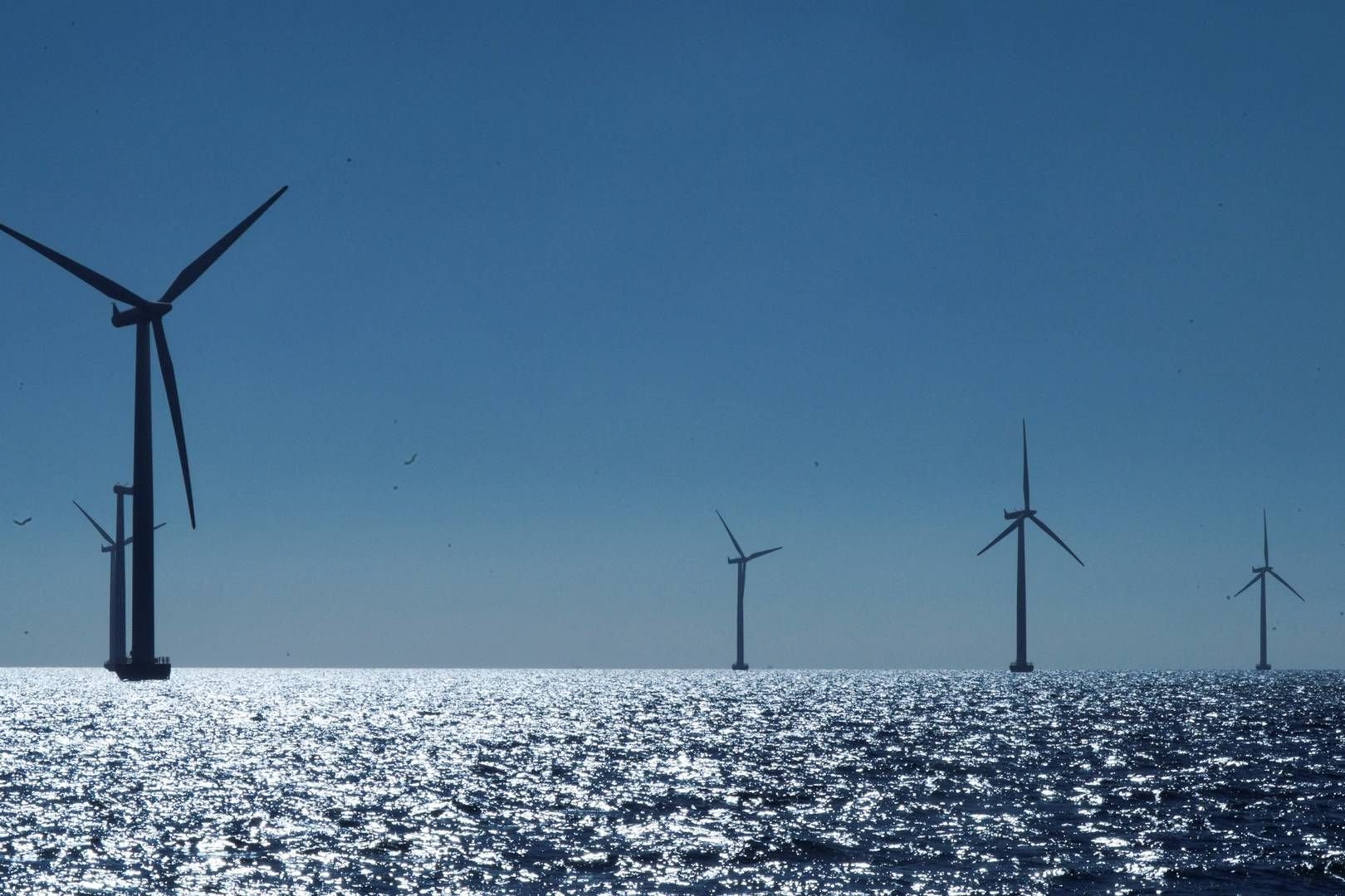 Green Fuels for Denmark er blot ét af flere projekter som er gået fløjten. I august måtte Ørsted meddele, at det dropper Idomlun og Flagship One. | Foto: Tom Little/Reuters/Ritzau Scanpix