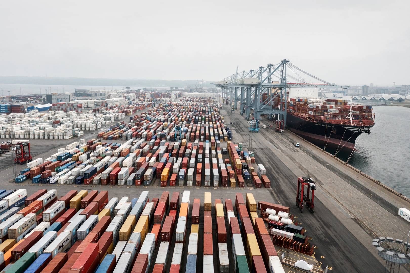 Skulle APM Terminals få medhold i enten en forbudssag eller et potentiel civilt søgsmål, kan det blive en åbning for endnu flere søgsmål, lyder vurderingen. | Foto: Casper Dalhoff/Ritzau Scanpix