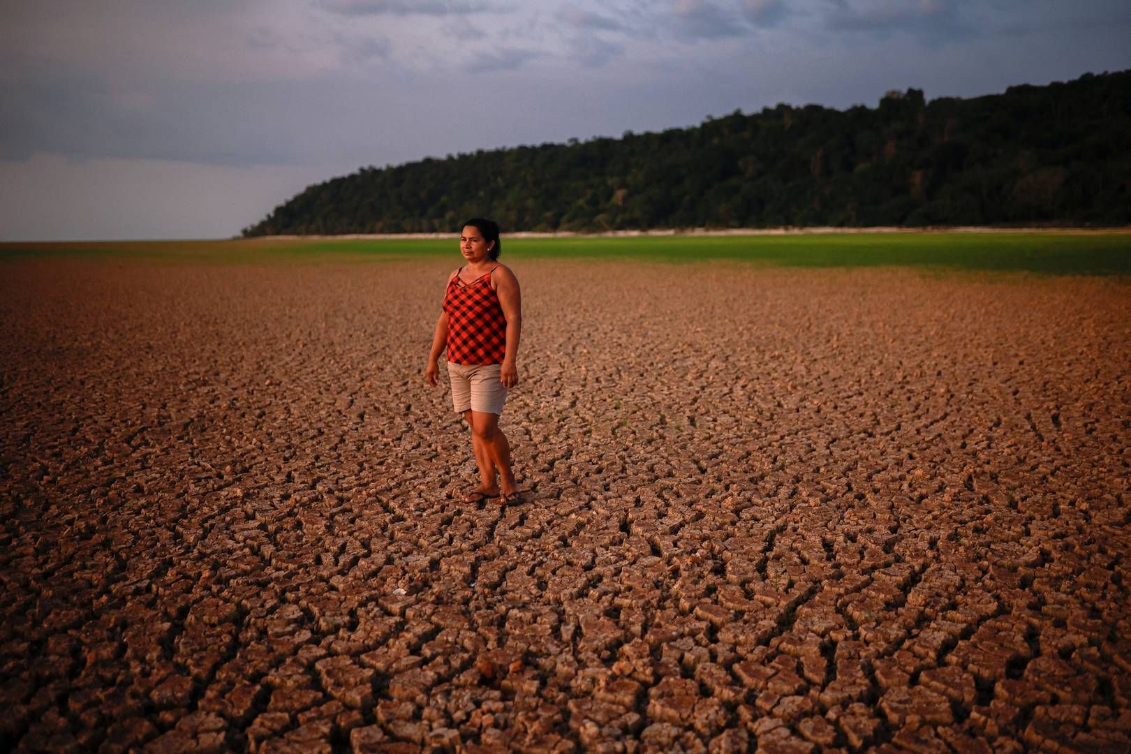 Tørken har ikke kun påvirket skibsfarten på Tapajós-floden, men også lokalsamfundene langs floden. | Foto: Amanda Perobelli/Reuters/Ritzau Scanpix