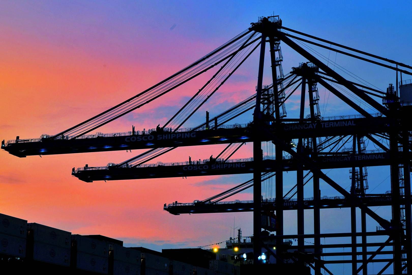 ”Vi har modtaget mange forespørgsler,” lyder det fra Mao Ping, driftsdirektør hos det kinesiske logistikselskab Haotong Group, til avisen. | Foto: Apec Peru/Reuters/Ritzau Scanpix