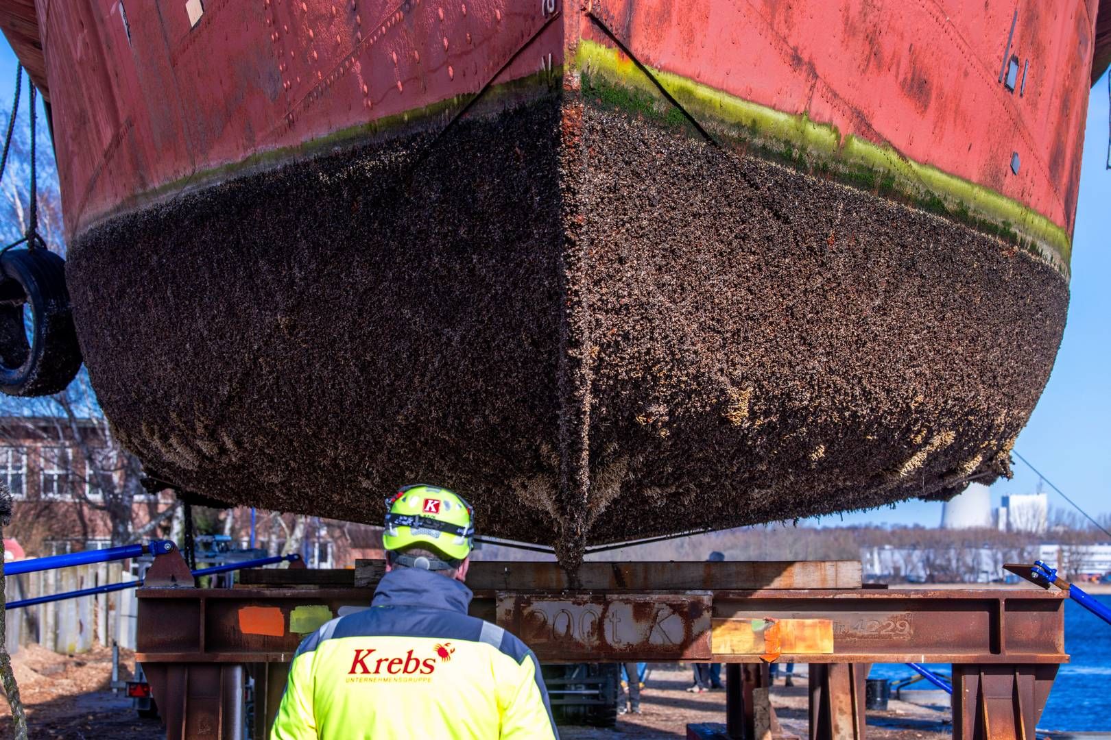 Global requirements underway to reduce algae and seaweed on ships