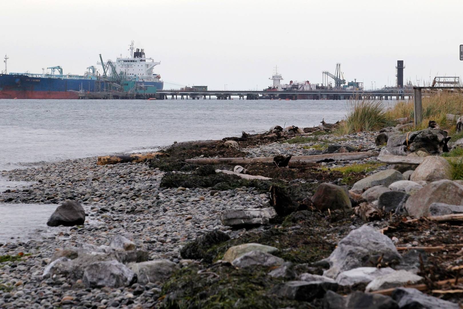 Indiske raffinaderier er blevet ramt af sanktionerne mod Rusland, i dag er Indien nemlig den største køber af russisk olie, der leveres med skib. | Foto: Elaine Thompson/AP/Ritzau Scanpix