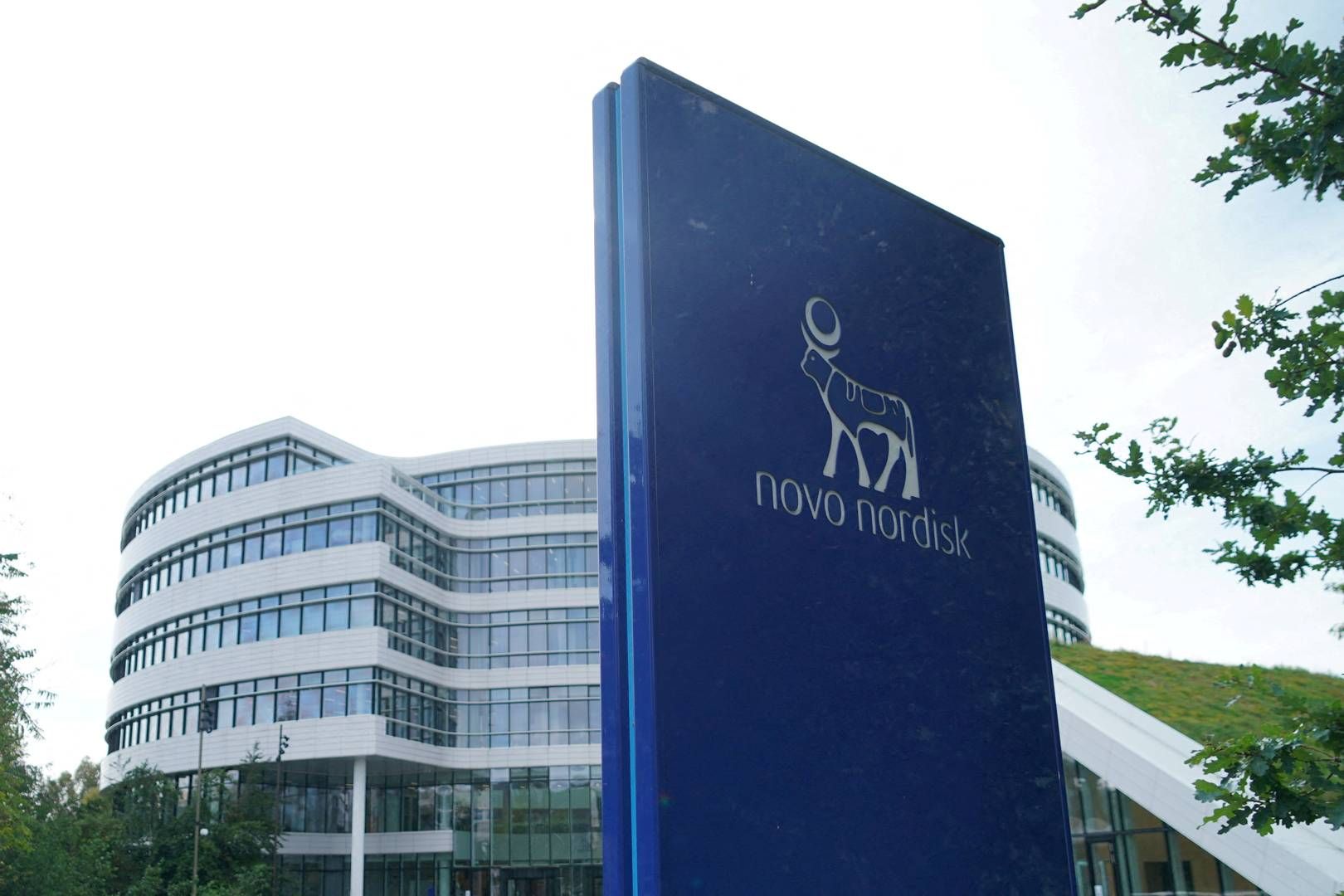 Novo Nordisk sharpens focus rare blood disease with new US partnership
