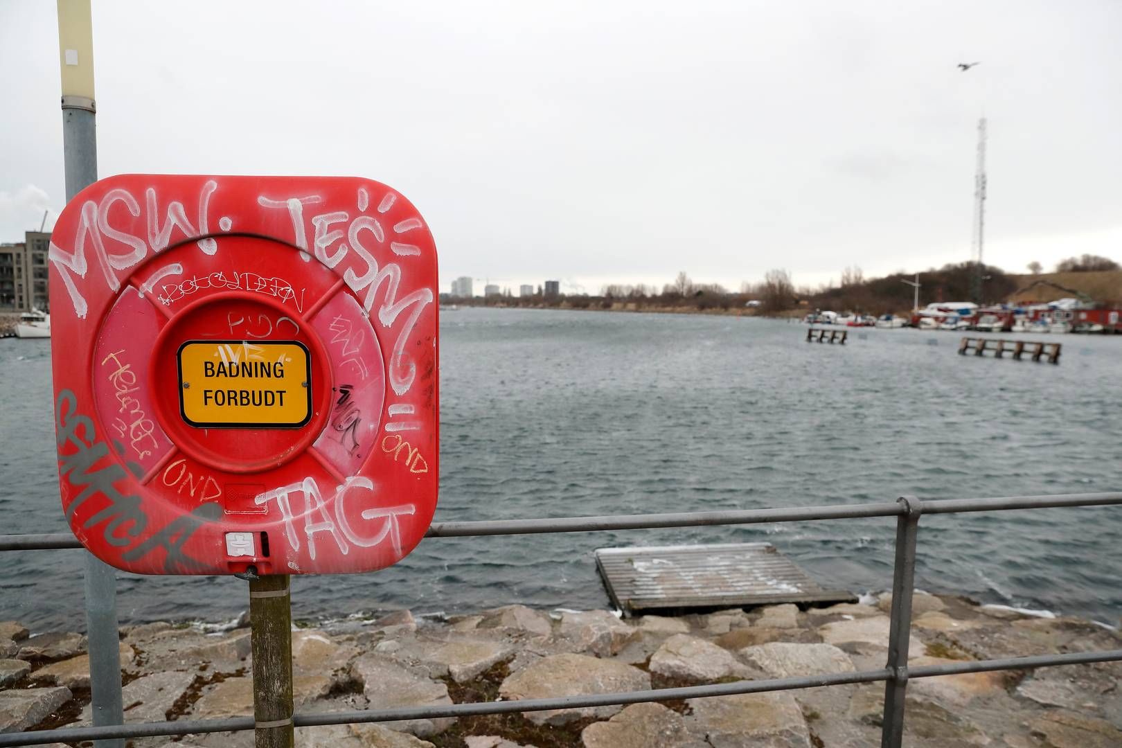 Som afløser konstitueres Tove Gæmelke som havnedirektør, som også tidligere har været indsat midlertidigt efter en direktørfyring i 2022. Arkivfoto. | Foto: Jens Dresling/Ritzau Scanpix