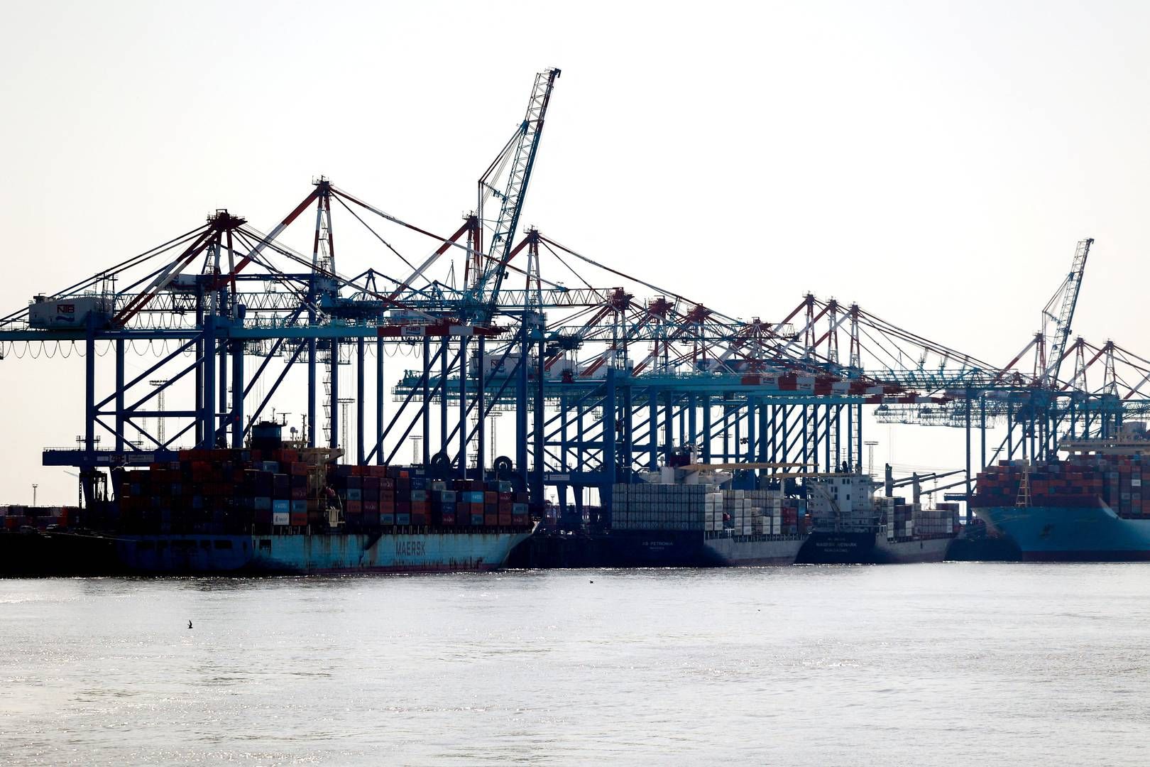 Containerterminal i Bremerhaven. | Foto: Leon Kuegeler
