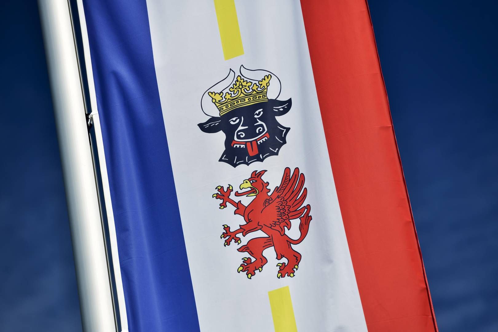 Wehende Fahne des Bundeslandes Mecklenburg-Vorpommern. | Photo: picture alliance / Bildagentur-online/Ohde | Bildagentur-online/Ohde