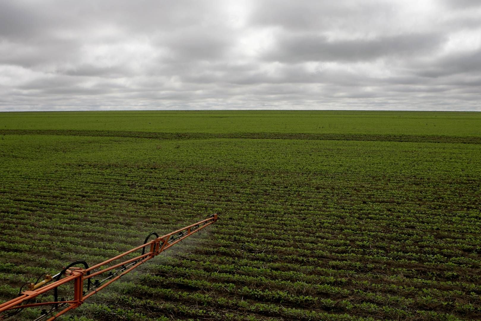FMC laver en række forskellige kemikalier til landbruget. | Foto: Peter Hove Olesen