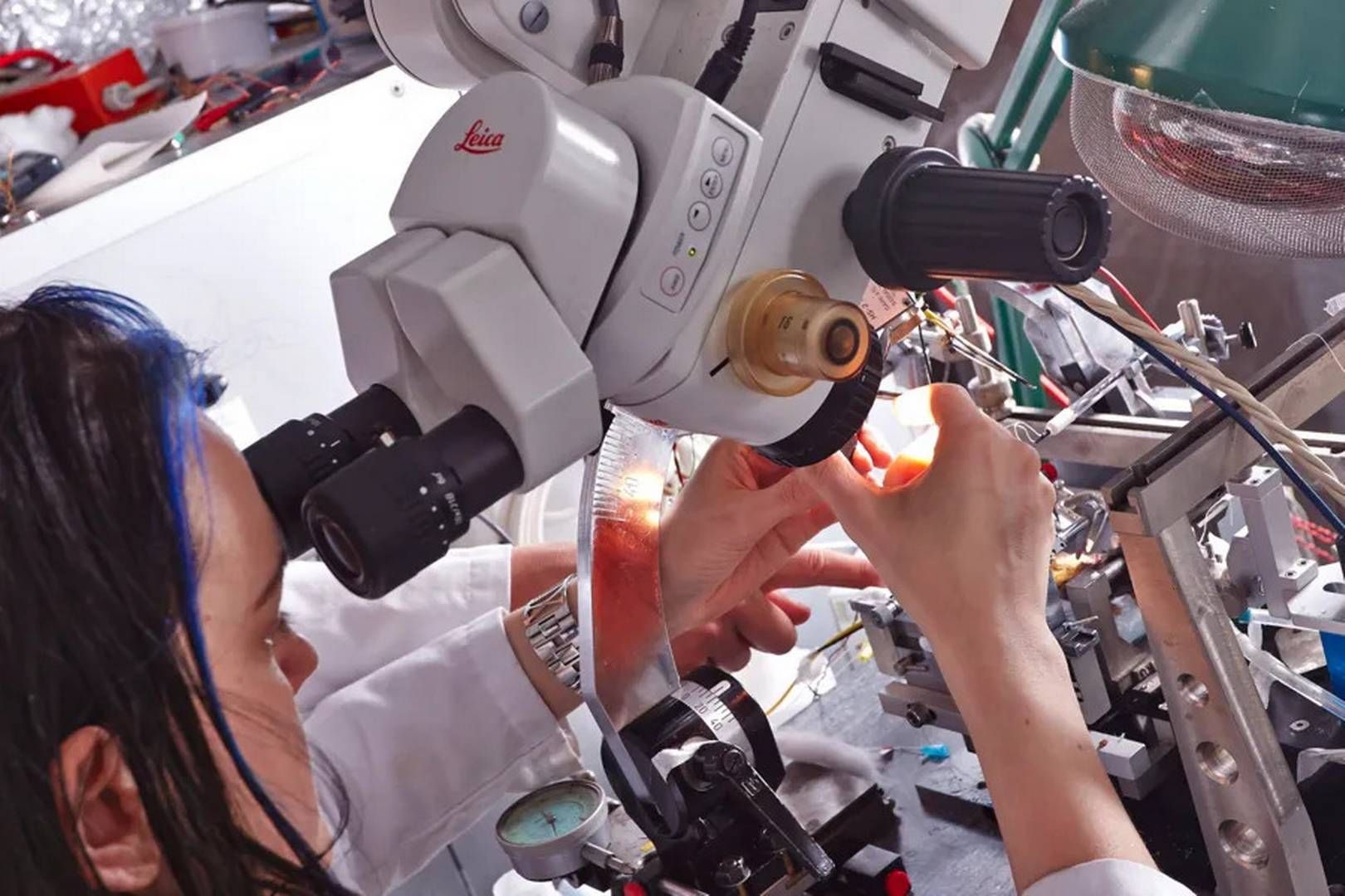 Den ny lov kommer til at åbne op, at universiteter kan investere direkte i eksterne venturefonde. | Foto: Københavns Universitet