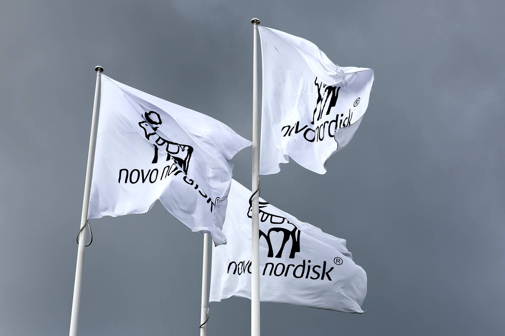 The former female employee who initiated legal proceedings against Novo Nordisk ultimately had to take sick leave as a result of her experiences at the pharmaceutical company. | Foto: Finn Frandsen