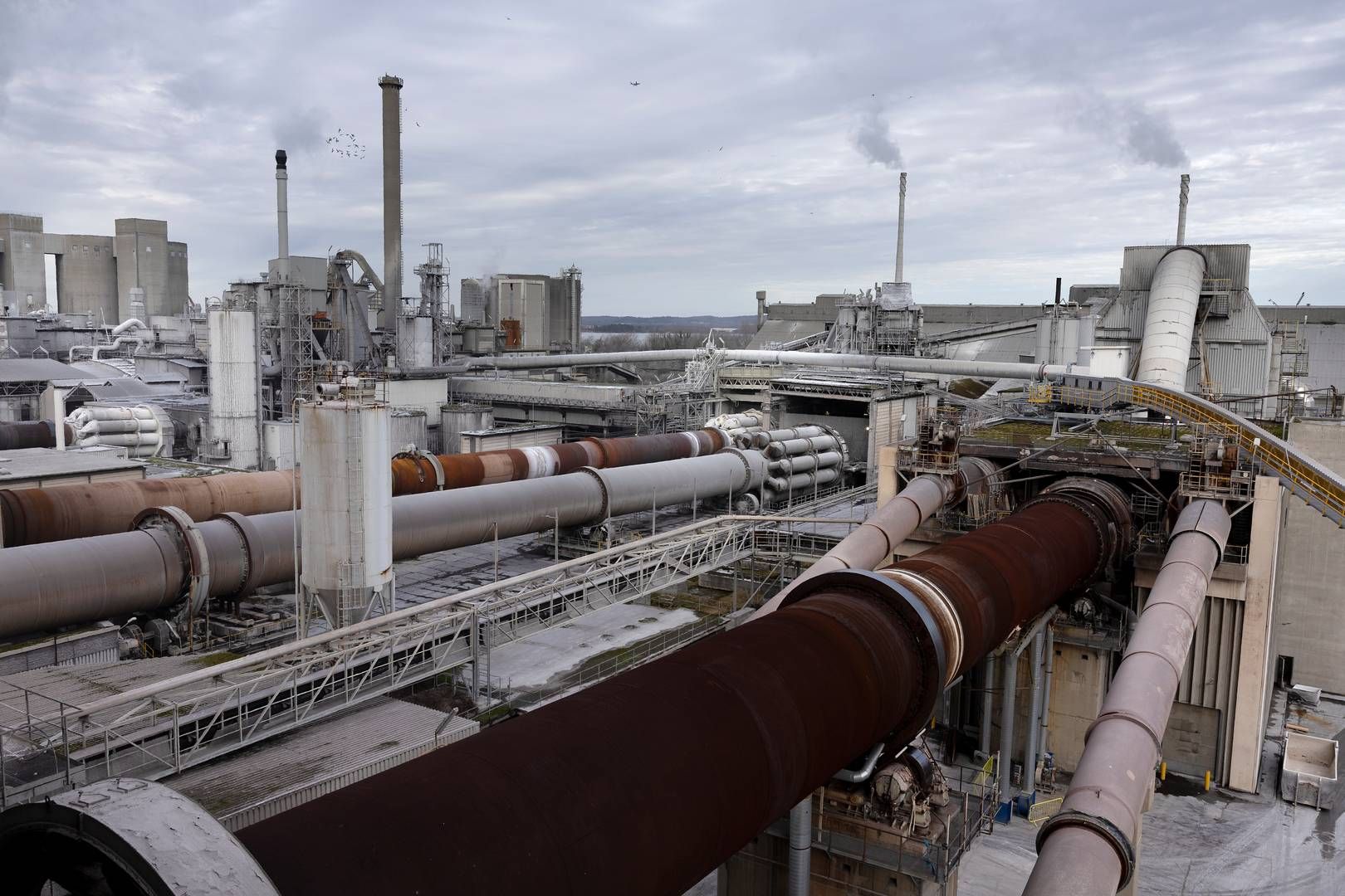 Aalborg Portland indleverer nu officielt et bud på statens milliardstøtte til fangst og lagring af CO2. | Foto: Thomas Borberg