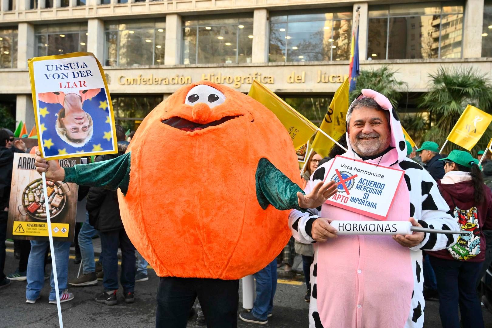 Handelsaftalen med fire sydamerikanske lande har mødt stor modstand fra bl.a. franske landmænd. | Foto: Jose Jordan