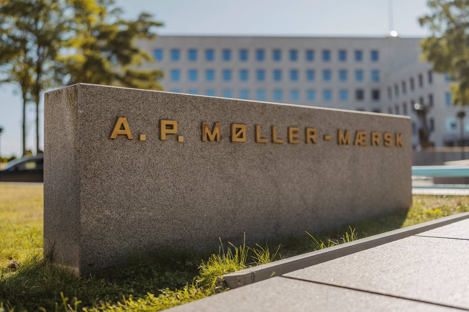 Mærsk halverer nyt aktietilbagekøb sammenlignet med sidste år. | Foto: Thomas Lekfeldt