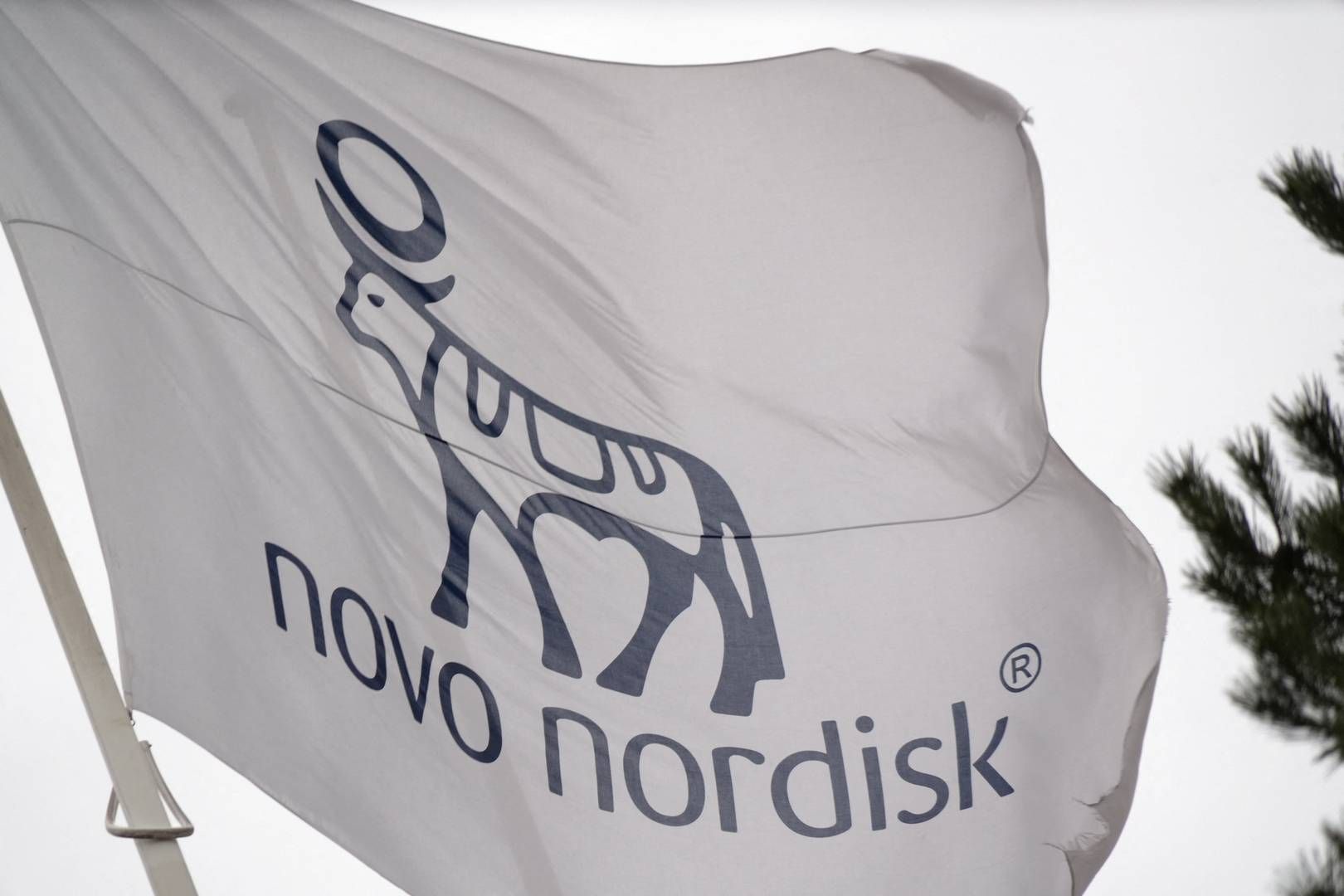 Novo Nordisk skyder lige under på flere diversitetsmål der skulle nås inden udgangen af 2025. | Foto: Tom Little