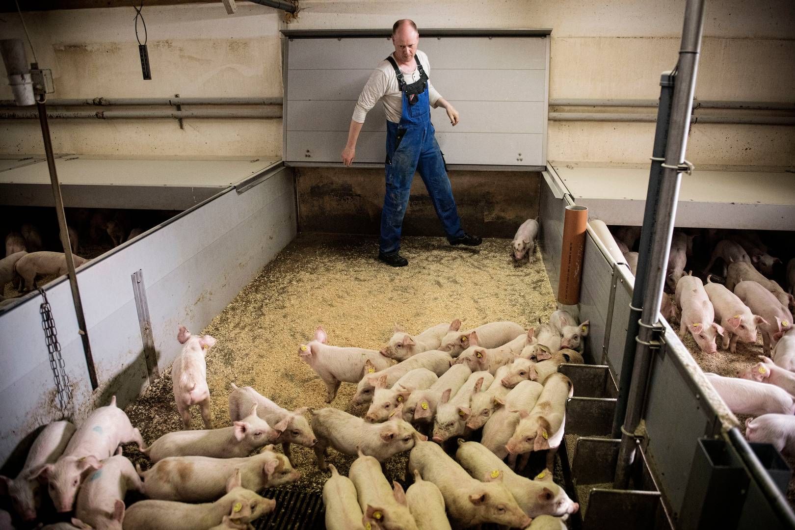 Foto: Casper Dalhoff