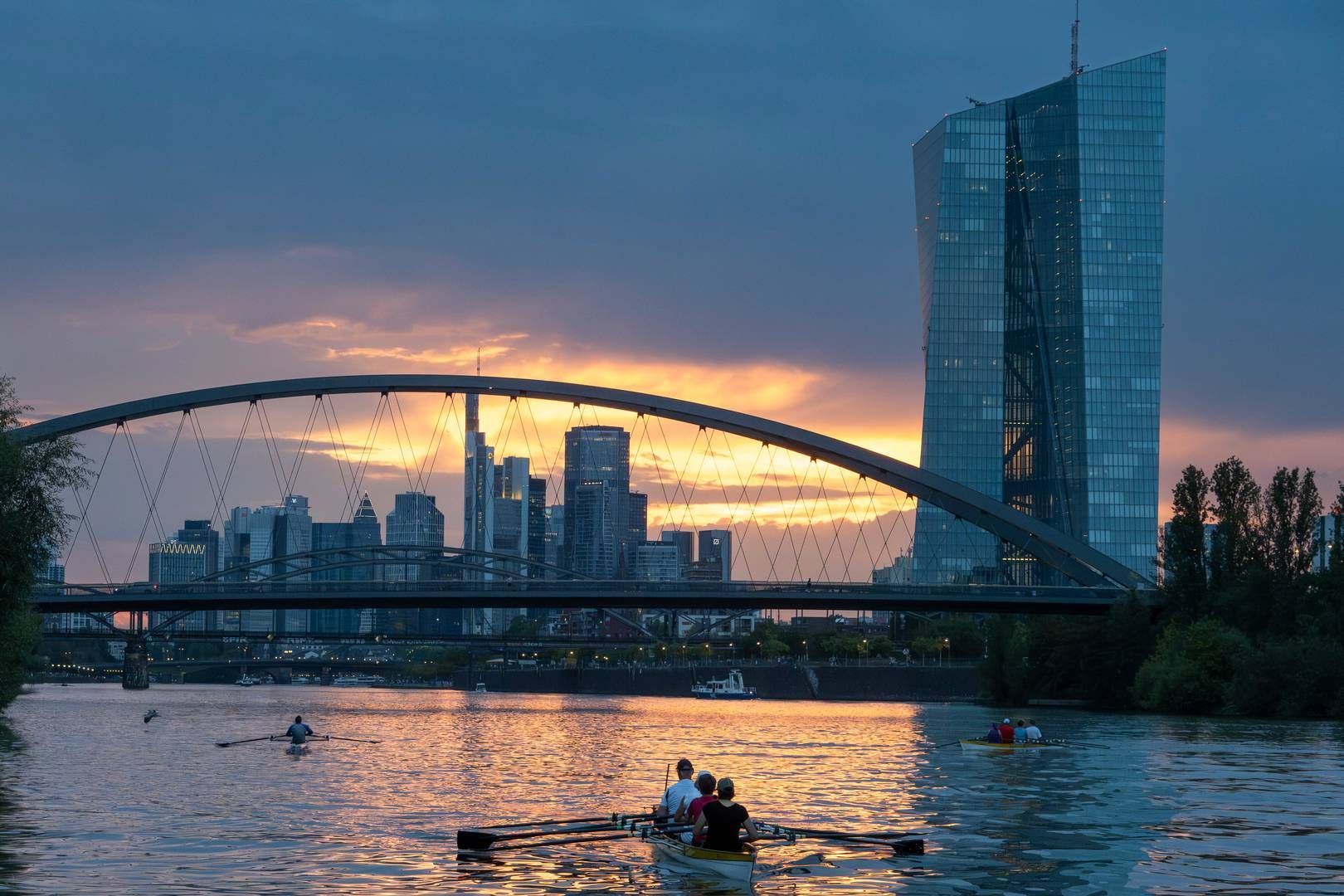 Ruderer fahren im letzten Licht des Tages über den Main, während im Hintergrund die EZB und die Bankenskyline zu sehen sind. | Foto: picture alliance/dpa | Boris Roessler