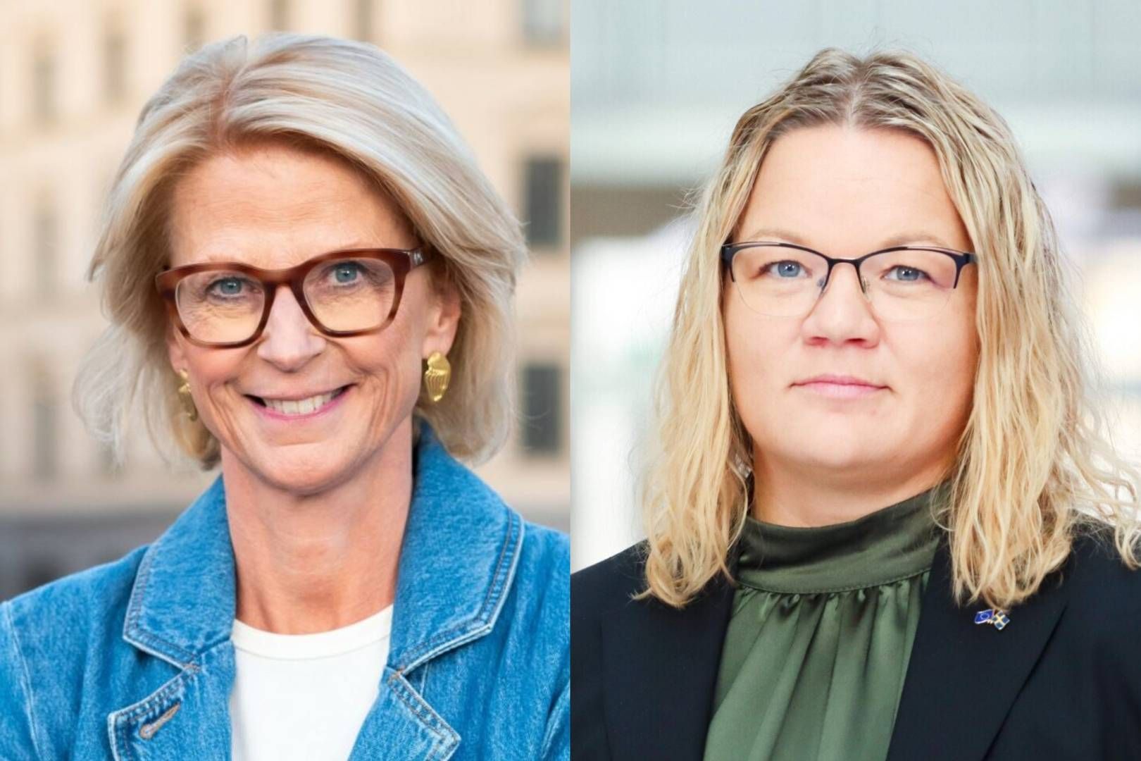 Finance Minister Elisabeth Svantesson (l) backs an inquiry into the pros and cons of joining the euro. Liberal MP Cecilia Rönn (r) believes that Sweden will join at some point. | Foto: Fredrik Wennerlund / Liberalerna