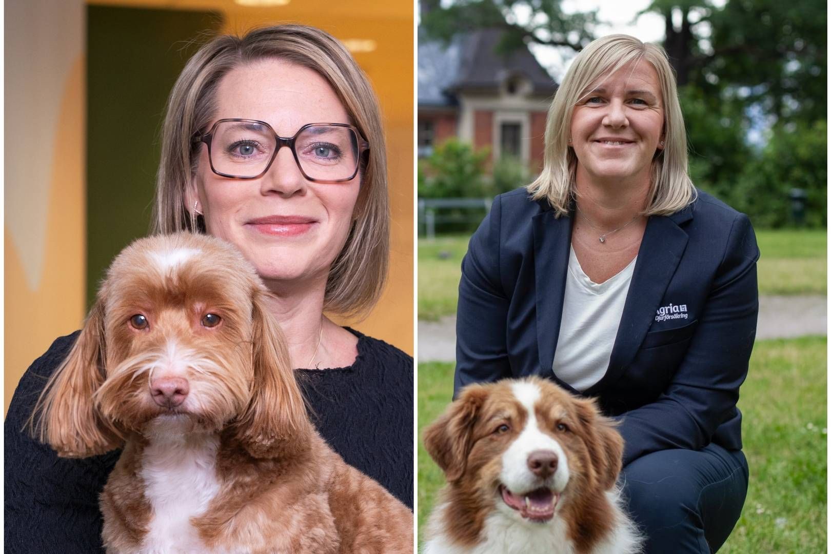 Svelands Linda Kreutz och Agrias Monica Tuvelid hoppas Konkurrensverkets utredning leder till pristransparens inom djursjukvården. | Foto: Sveland / Agria