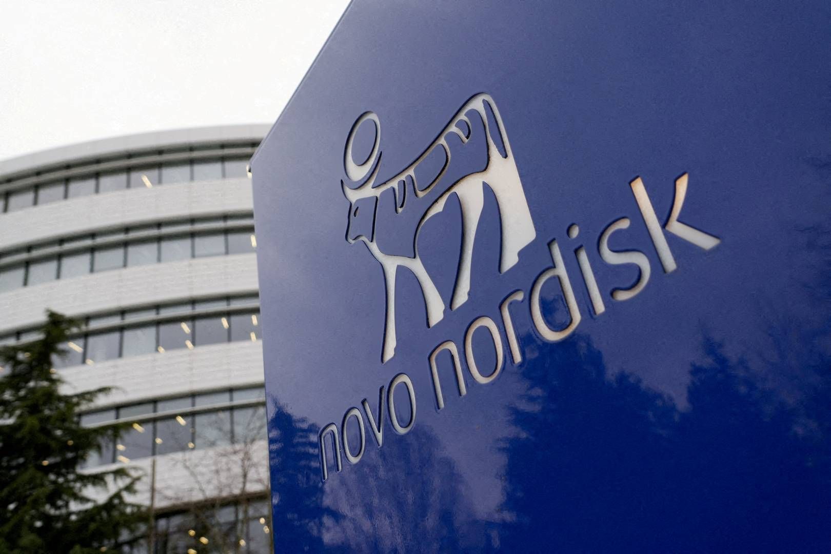 GLOBALE RETTIGHETER: Novo Nordisk får globale rettigheter til Vivtex Corporations plattform til bruk i utvikling av orale legemidler. | Photo: Tom Little