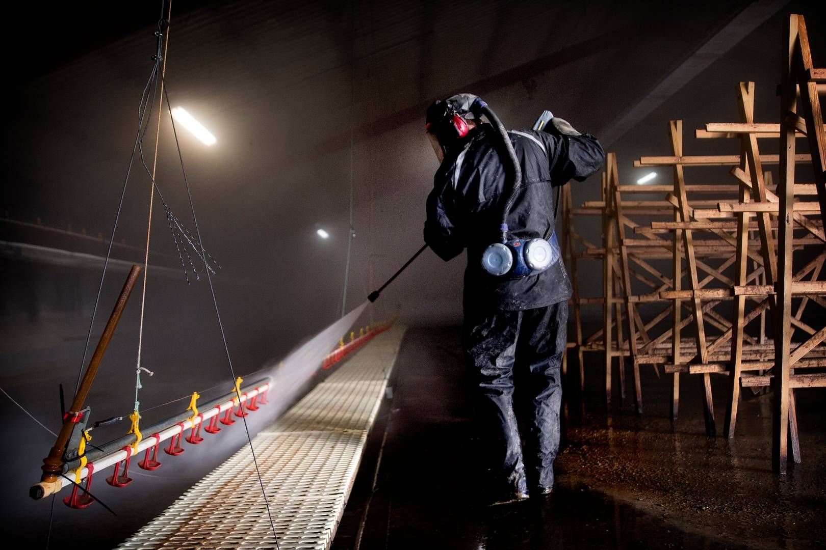 2026 har budt på flere tilfælde af udbrud i fjerkræbesætninger. Senest blev 115.000 æglæggende høns ved Herlufmagle slået ned. | Foto: Finn Frandsen