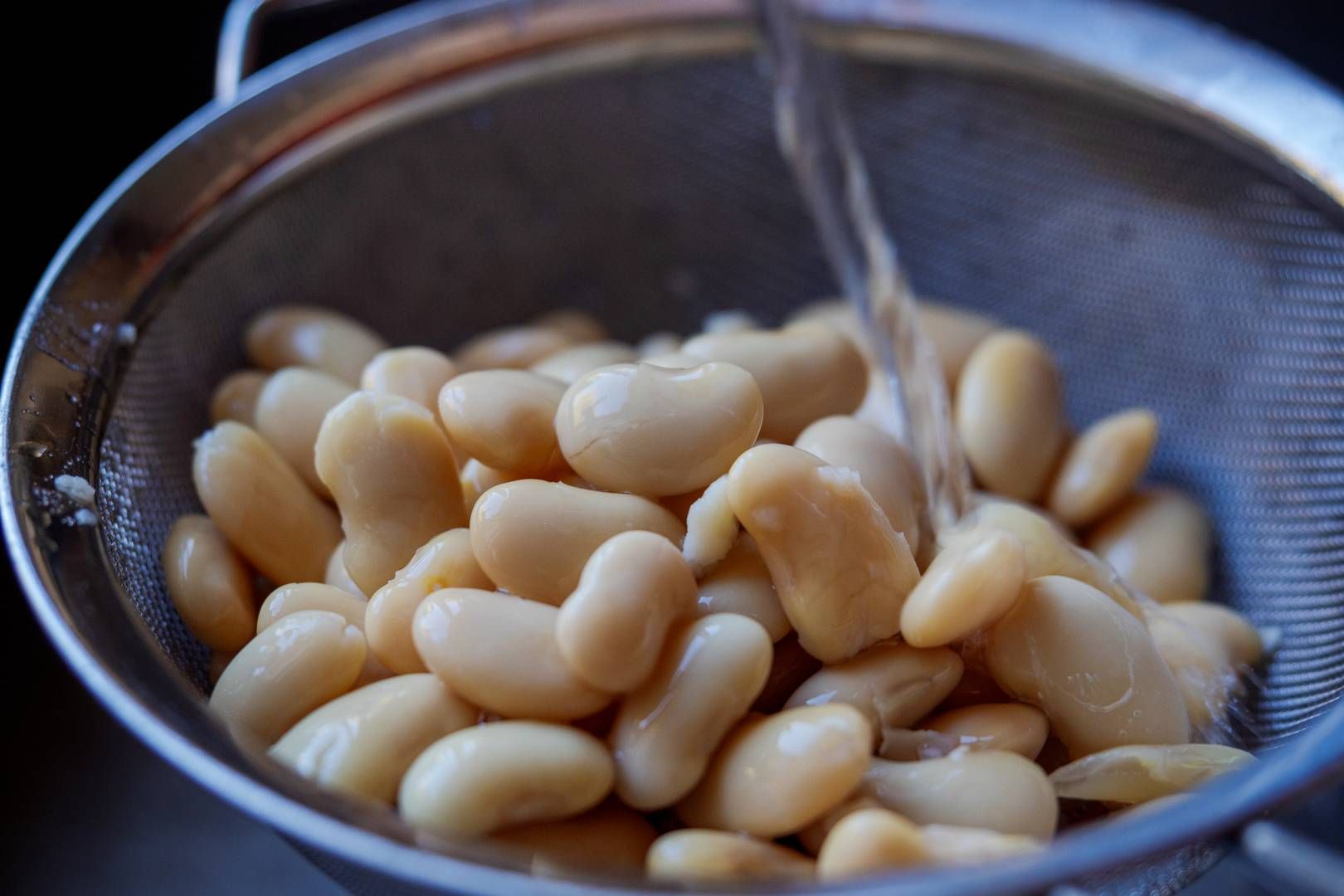 Der åbnes for ny pulje til det plantebaserede fødevarefelt. | Foto: Miriam Dalsgaard