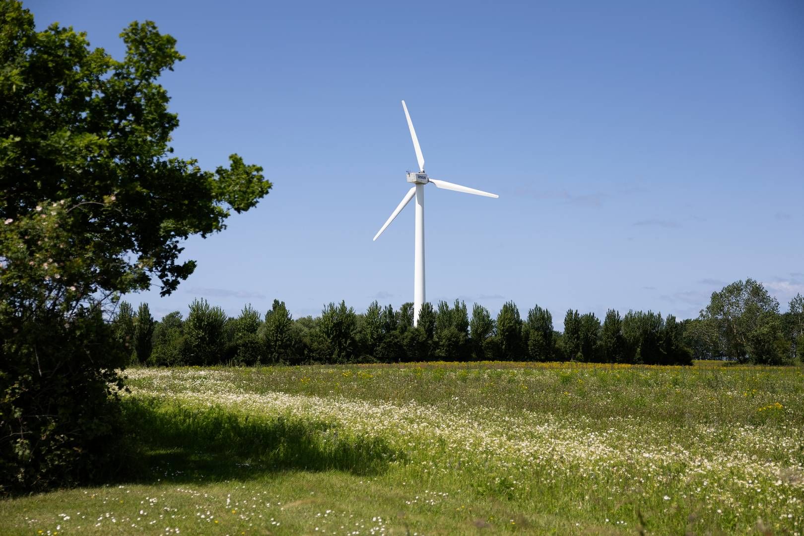 Foto: Thomas Borberg