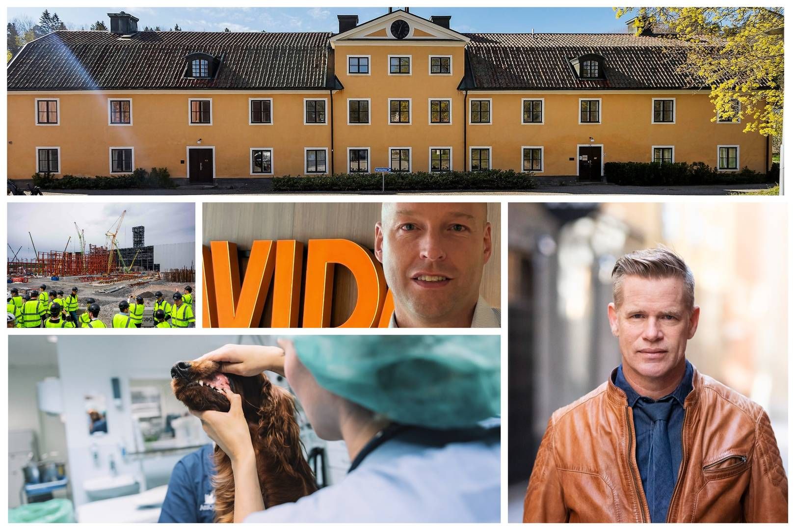 Nyhetsmixen i veckan innehåller allt från Fondtorgsnämnden via Avida Finans till djurförsäkringsbranschen. | Foto: FTN, Jonathan Nackstrand/AFP, Avida, Stina Stjernkvist/TT, Evelina Carborn