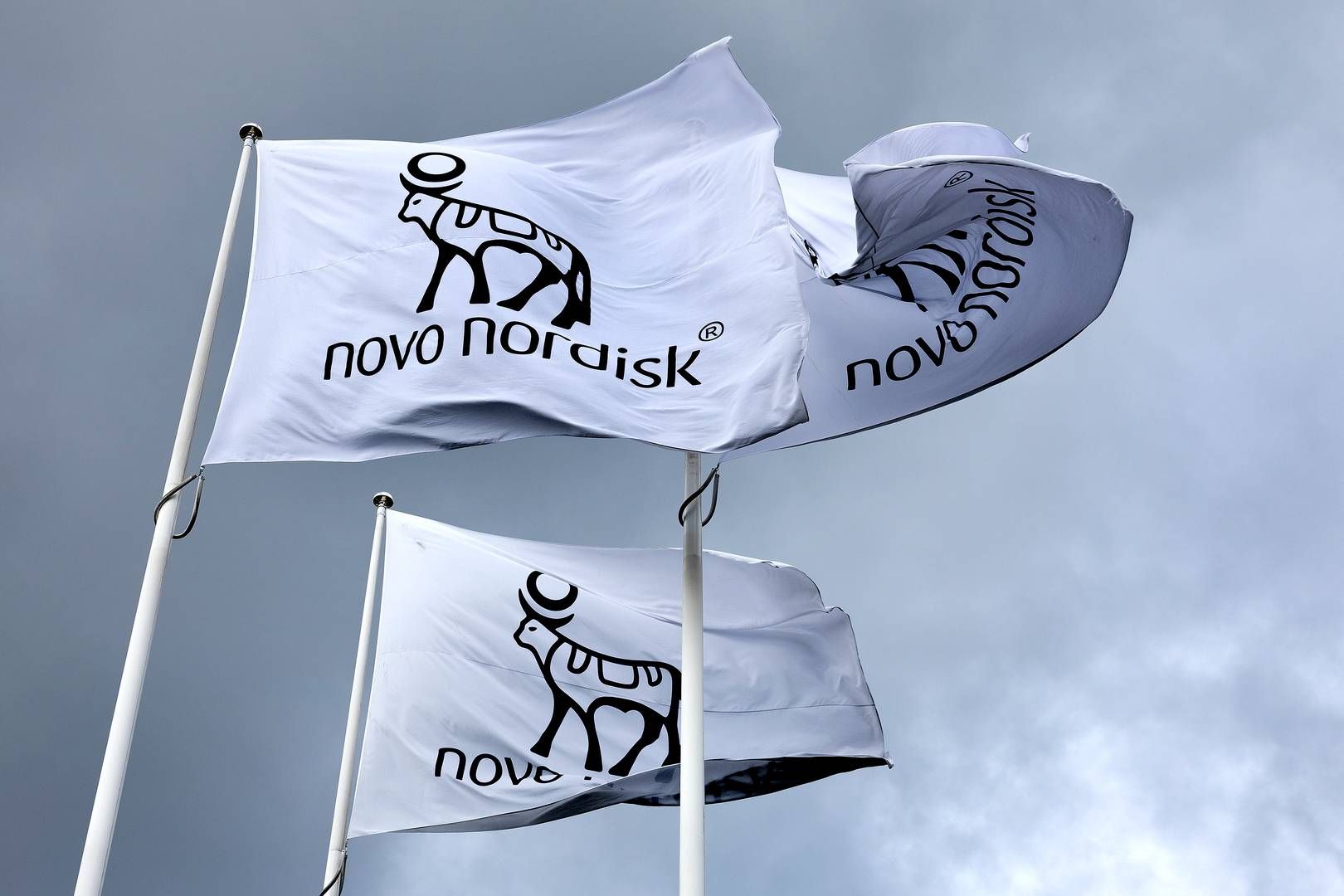 Novo Nordisk may be heading for a narrowing of its 2026 forecast, according to investment bank Jefferies, which has taken a closer look at US prescription figures for the first quarter. | Foto: Finn Frandsen