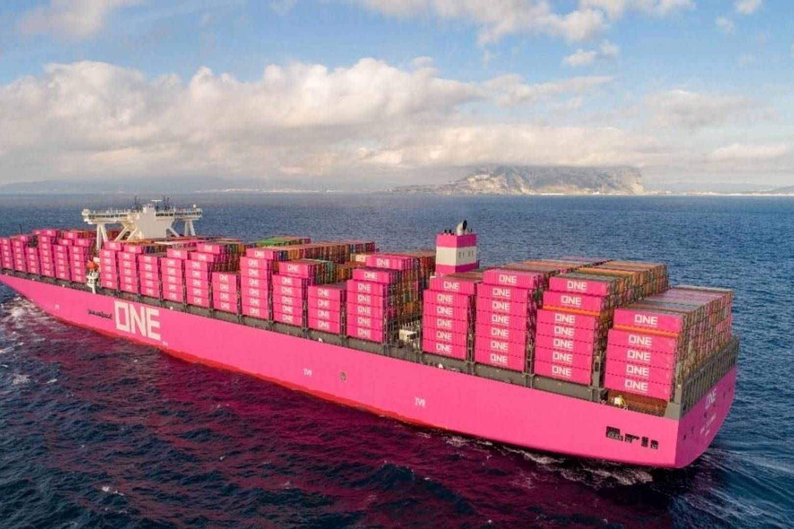 Et af ONE's containerskibe. Ikke skibet NYK Delphinus, der lørdag brød i brand. | Foto: PR / Ocean Network Express