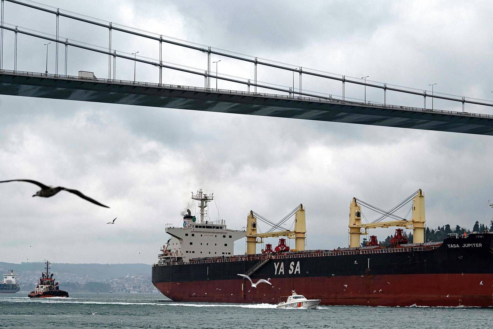 Det tyrkiske skib Yara Jupiter blev som det første handelsskib ramt af et missil ud for Odessa, der har Ukraines største havn. | Foto: Yasin Akgul/AFP/Ritzau Scanpix