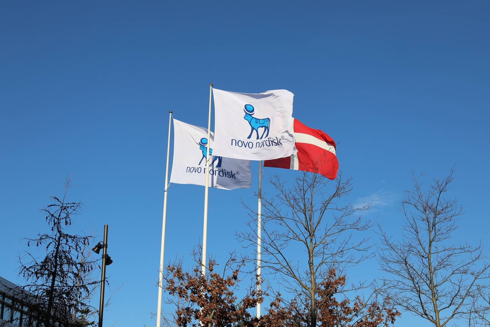 frank grillo bpc 157 Novo Nordisk's combination drug for obesity and diabetes shows positive  results, heads to phase III